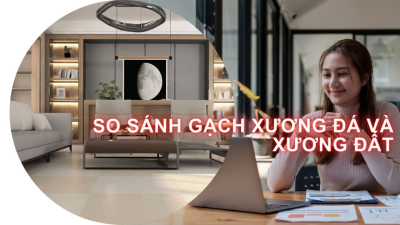 So Sánh Gạch Xương đá và Xương đất