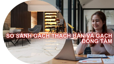 So sánh Gạch Thạch Bàn và Gạch Đồng Tâm