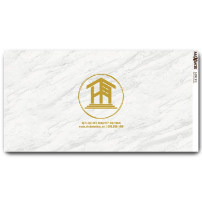 Gạch Vitto 60x120cm 3692F2