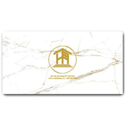 Gạch Vitto 60x120cm 3801F1