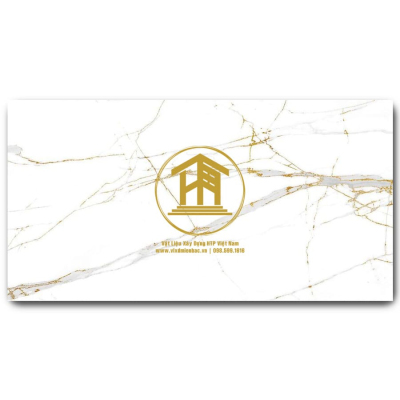 Gạch Vitto 60x120cm 3801F2
