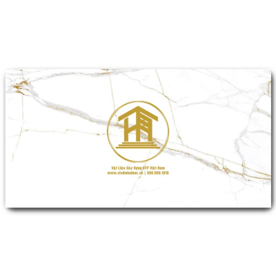 Gạch Vitto 60x120cm 3801F3