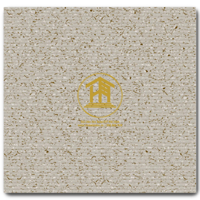 Gạch Mikado 30x30cm CZ335