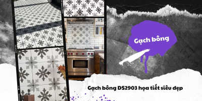 Gạch bông DS2903 họa tiết siêu đẹp