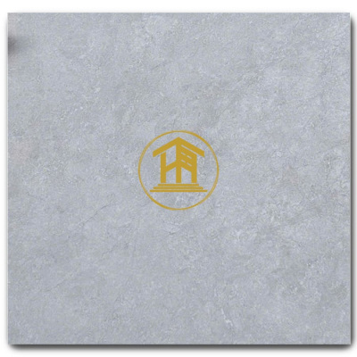 Gạch VNG 60x60cm