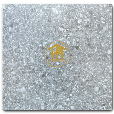 Gạch Terrazzo 60x60cm DS66089