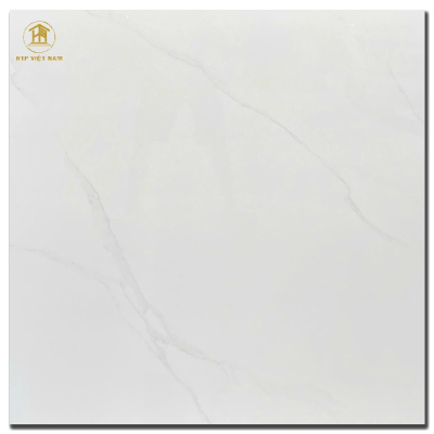 Gạch CMC 100x100cm