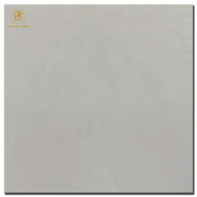 Gạch CMC 100x100cm